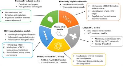 Mouse Models of Hepatocellular Carcinoma: Classification, Advancement, and Application